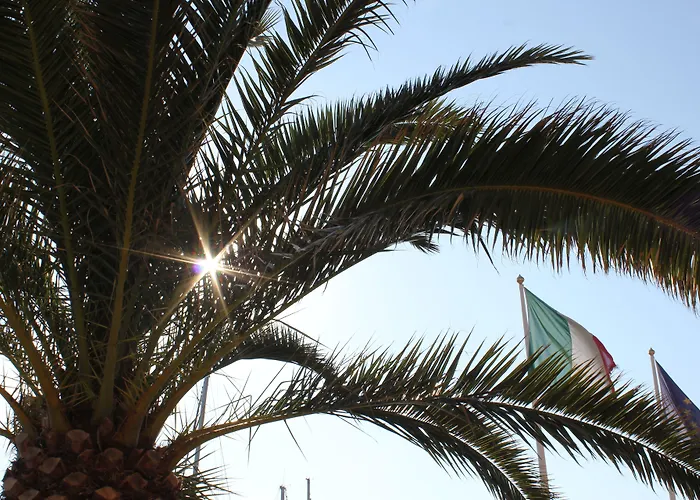 Belmare 호텔 포르투 아주로